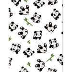 ROYAL__PANDAS