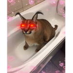 Floppa Lord