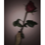 ﹒e t h e r a l ﹒