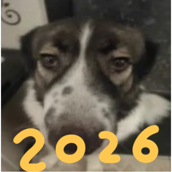 sookie universe ( 2026!)