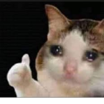 UWU Mis amigos UWU