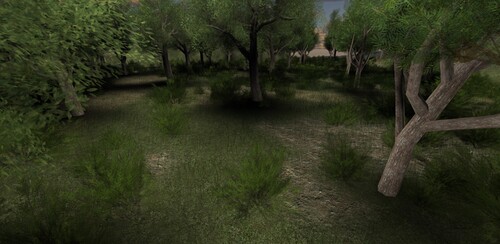 Showcase(Test)