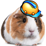 Guinea pigs studios