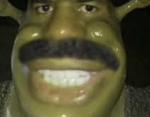 shrek harvey enjoyers cult