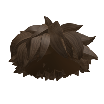 💵 Brown Messy Boy Hair Roblox item