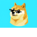 SpeedDoge