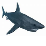 Sharkies Army