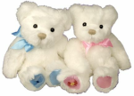 Teddys of twins