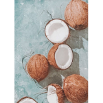 Miss Coconut