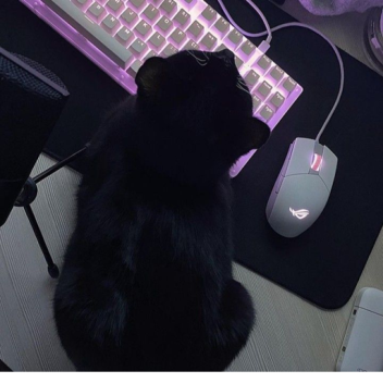 ☾ forgotten place..