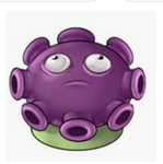 PvZ/caylus fans