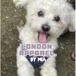London Apparel.