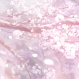 ✧･ﾟ: *✧･ﾟ:*