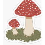 Mushrooom Squad!