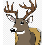 The National Hunter Group