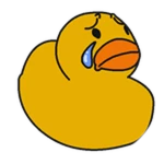 Boowomp Duck