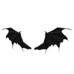 The Endless Night wings