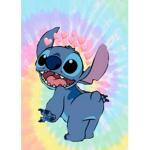The four stitch’s