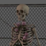 nsrxblx