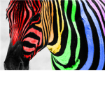 R.M.L.Z Robloxain Rainbow Zebras