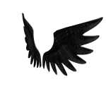 Matte Black Wings