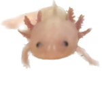 Axolotl and fnaf fans