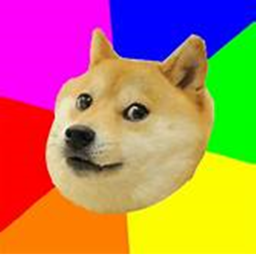Fort Doge