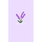 ~Lovely lavender~