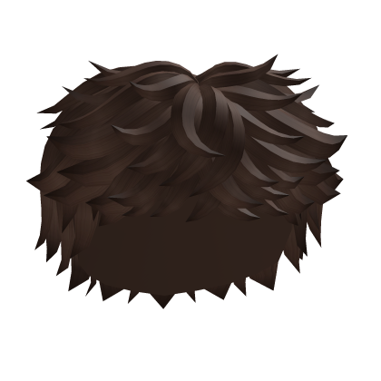Brown Messy Hair Roblox item