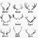 ANTLERS FOR LIFE
