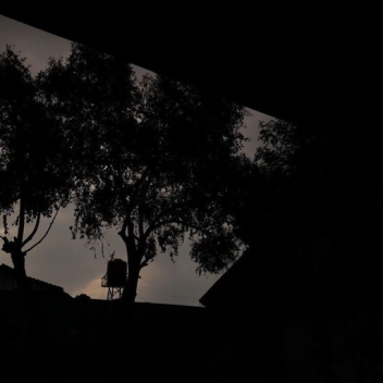 𝖋𝖎𝖗𝖊𝖋𝖑𝖎𝖊𝖘