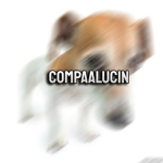 CompaAlucin