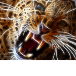 Wild Cat®