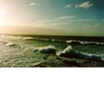 Ocean_vibes