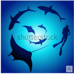 !!SHARK LAND!!