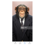 Monke's together forever
