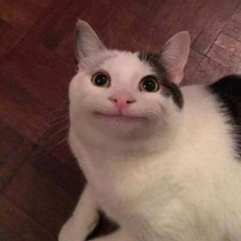 Boo's Test Your Time