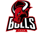 TEAM BULLSSS