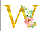 Warzo Studio