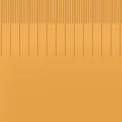 baldi's ruler