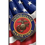 U.S President protection services