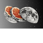 Space Oranges Studios