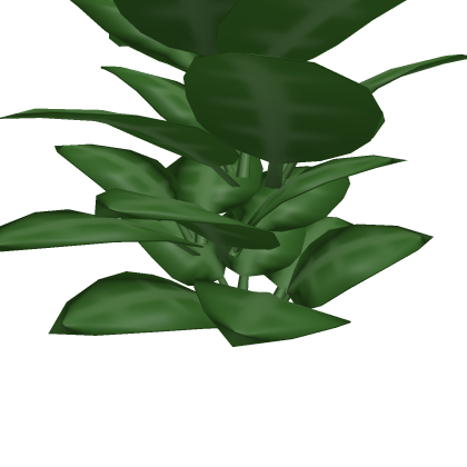 bush
