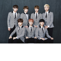 Lectures on BTS