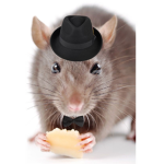 Ratag·e Family