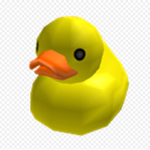 + The Duck Council +