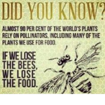 THE BEE GANG!