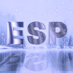 Elite Snow Pirates
