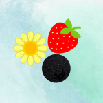 DaisyVStrawberrie