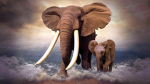 Jacob’s elephants